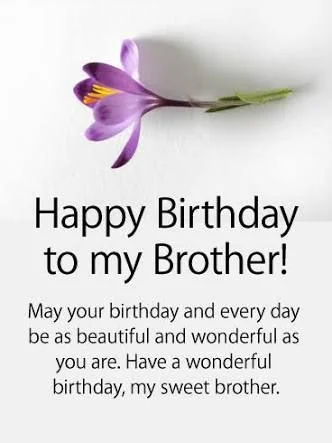 birthday wishes for big brother
