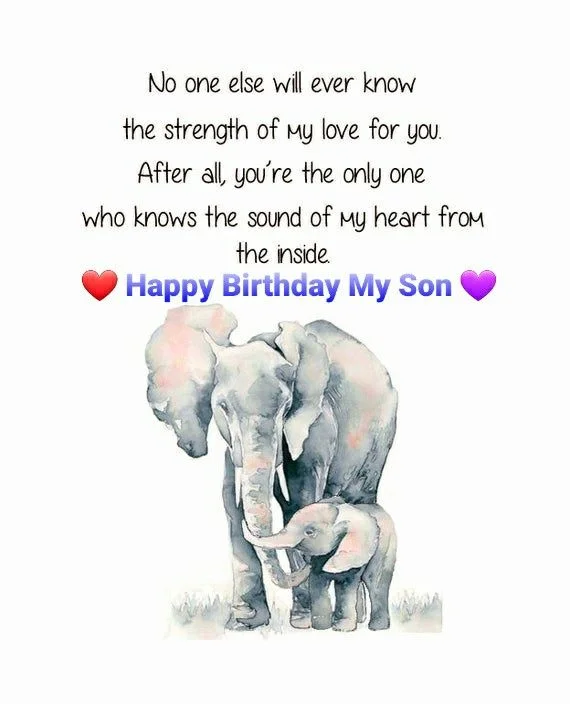 200+ Happy Birthday Wishes & Blessing Messages for Son 23 birthday wishes son