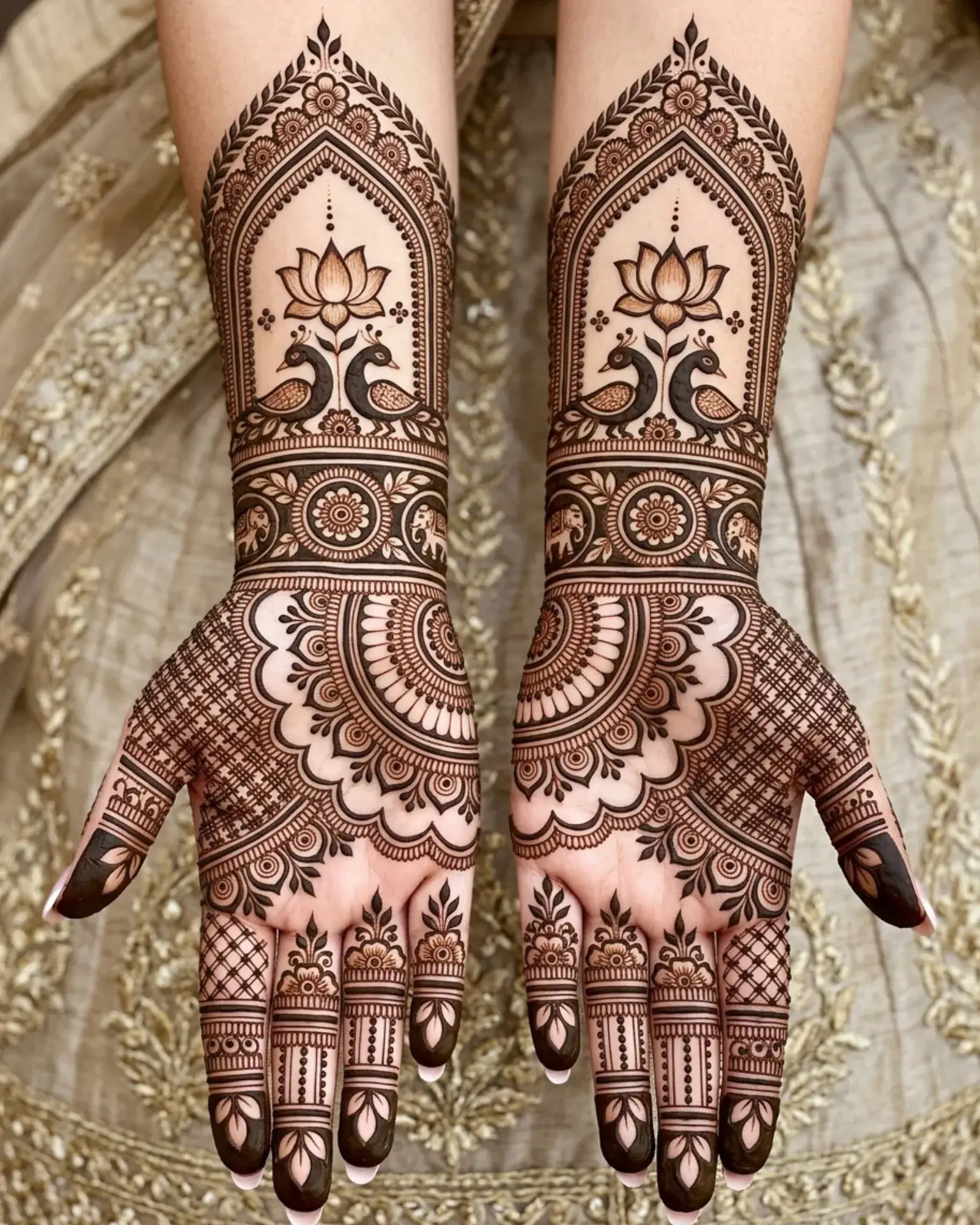 Home Page 8 Twin Peacock Symmetry Royal Front Hand Simple Mehndi Design